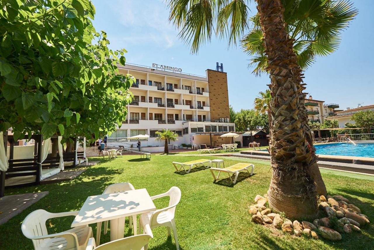 Hotel Checkin Flamingo 3*